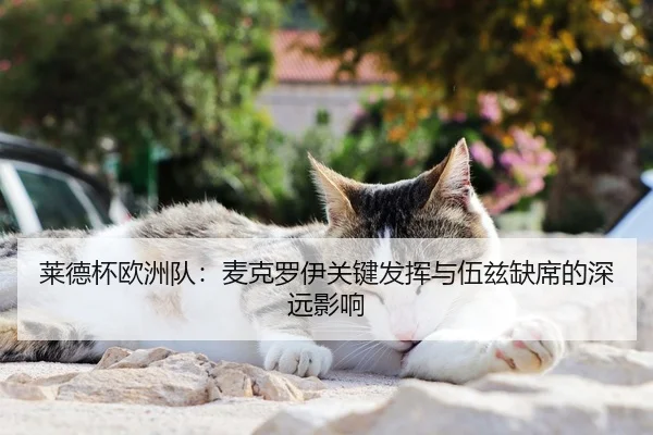 莱德杯欧洲队：麦克罗伊关键发挥与伍兹缺席的深远影响