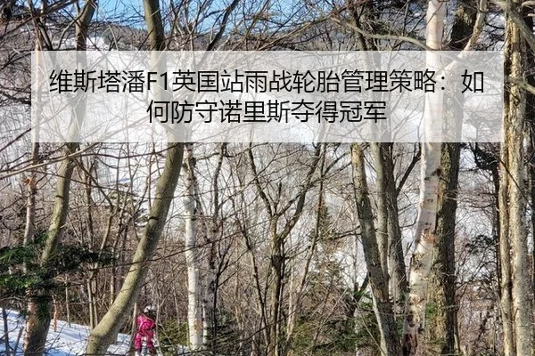wei-si-ta-pan-ying-guo-zhan-yu-zhan-lun-tai-guan-li-ce-lve-ru-he-fang-shou-nuo-li-si-duo-de-guan-jun-3-992.jpg