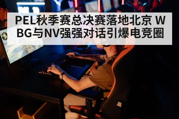 PEL秋季赛总决赛落地北京 WBG与NV强强对话引爆电竞圈